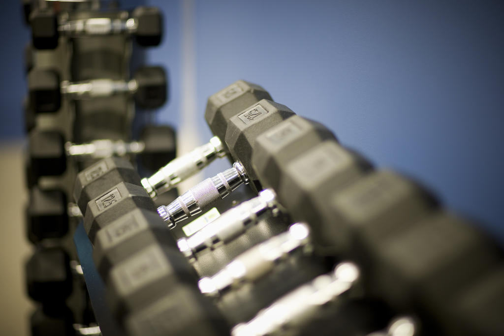 Fraser Suites Sydney Exterior foto A set of dumbbells